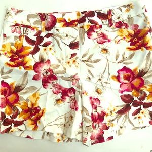 White House Black Market Shorts NWT